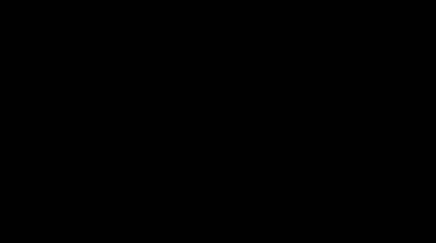 Animation Shorts 2